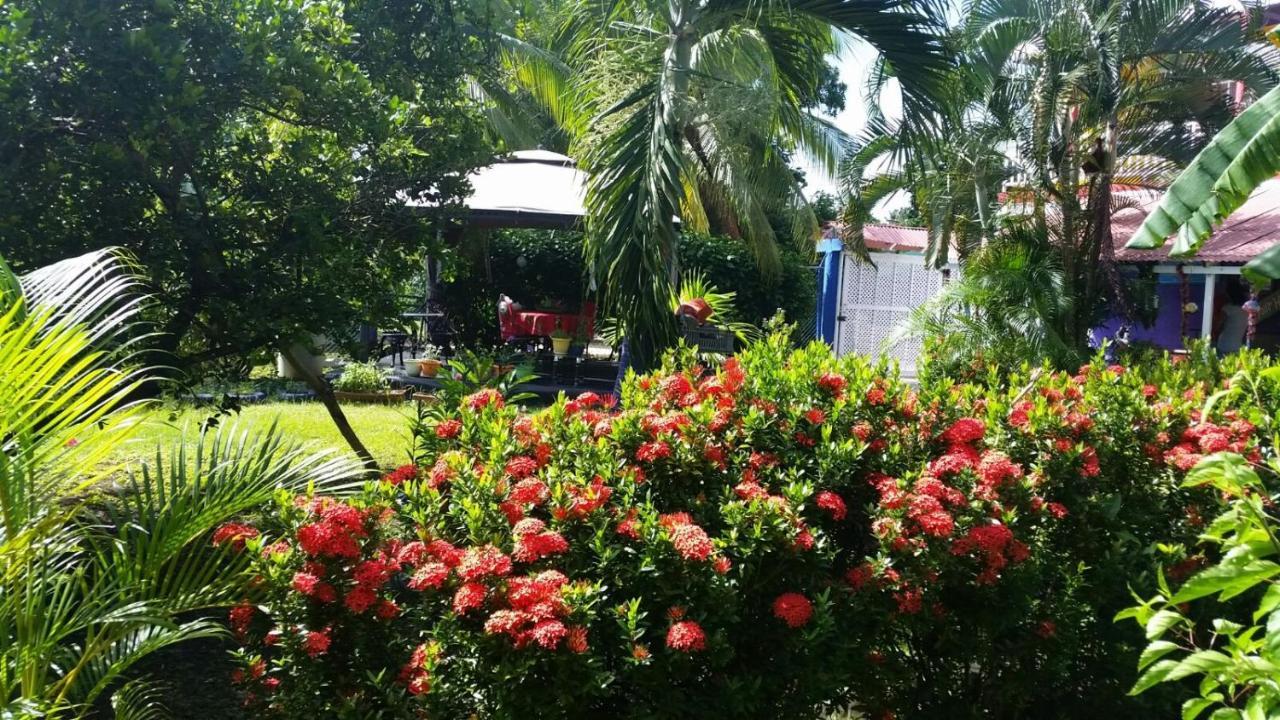 Posada Nativa Licy San Andrés Exterior foto